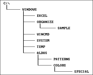 Пример дерева каталогов